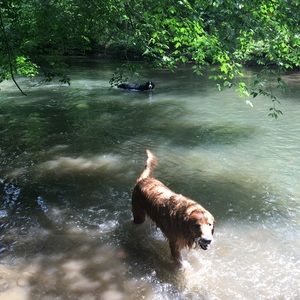 Meet your Posher, Greg